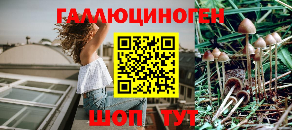 Галлюциногенные грибы ЛСД  Вход с VPN  где продают наркотики  Галлюциногенные грибы Magic Shrooms  Гусев 